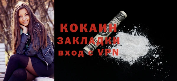 дмт Богородицк