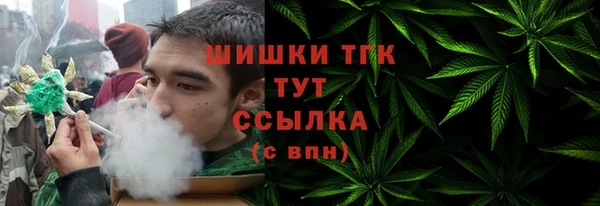 ГАЛЛЮЦИНОГЕННЫЕ ГРИБЫ Богданович