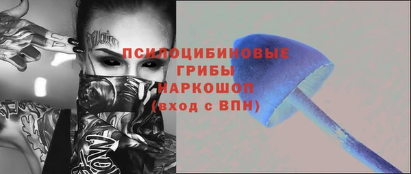 ГАЛЛЮЦИНОГЕННЫЕ ГРИБЫ Богданович