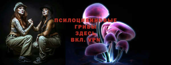 амф Белокуриха