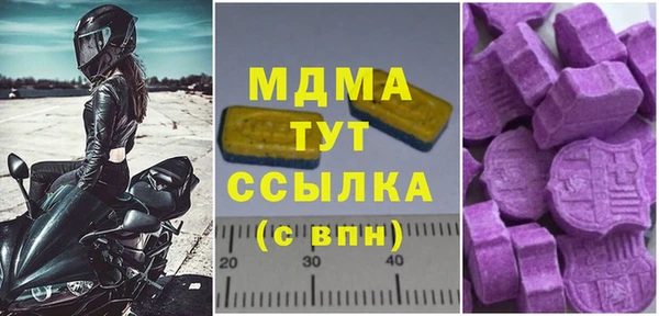 ГАЛЛЮЦИНОГЕННЫЕ ГРИБЫ Богданович