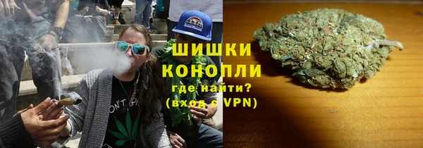 ГАЛЛЮЦИНОГЕННЫЕ ГРИБЫ Богданович