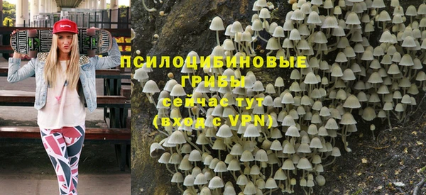 бошки Беломорск