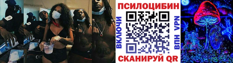 Галлюциногенные грибы Psilocybe  сайты даркнета как зайти  Княгинино 